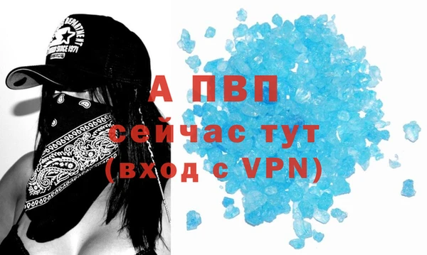 гашик Сатка