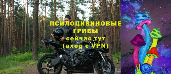 гашик Сатка