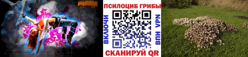 Купить закладки  Остров  Псилоцибиновые грибы мухоморы 